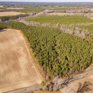 Photo #5 of 134ac Crumpler Road, Ivor, Virginia 134.8 acres