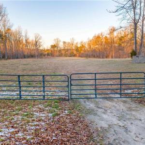 Welcome to Runninghorse Lane