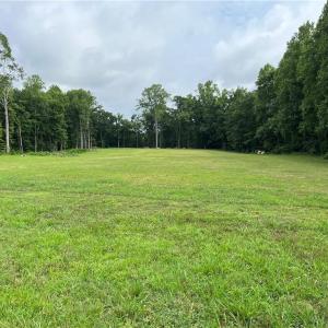 Summer View when everything is green