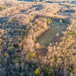 Photo #23 of 9744 Runninghorse Lane, Gloucester, Virginia 18.5 acres