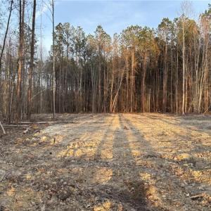 Photo #4 of 6568 Blackwater Road, Virginia Beach, Virginia 5.2 acres