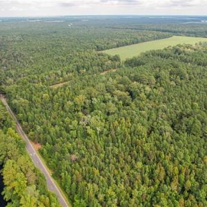 Photo #2 of 2.5 Ac Dismal Swamp Canal Trail, Chesapeake, Virginia 2.5 acres