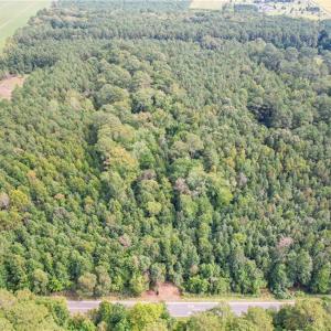 Photo #13 of 2.5 Ac Dismal Swamp Canal Trail, Chesapeake, Virginia 2.5 acres