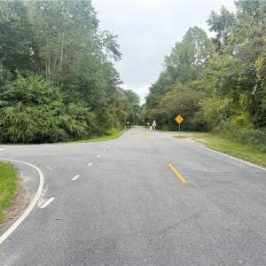 Photo #16 of 2.5 Ac Dismal Swamp Canal Trail, Chesapeake, Virginia 2.5 acres