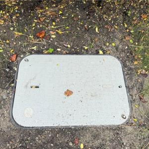 Photo #18 of 2.5 Ac Dismal Swamp Canal Trail, Chesapeake, Virginia 2.5 acres