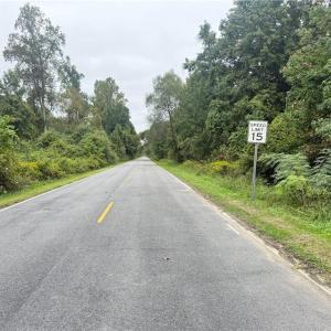 Photo #19 of 2.5 Ac Dismal Swamp Canal Trail, Chesapeake, Virginia 2.5 acres