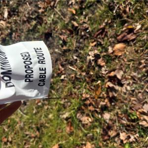 Photo #22 of 2.5 Ac Dismal Swamp Canal Trail, Chesapeake, Virginia 2.5 acres