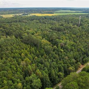 Photo #6 of 2.5 Ac Dismal Swamp Canal Trail, Chesapeake, Virginia 2.5 acres