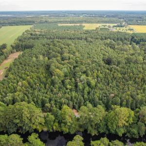 Photo #7 of 2.5 Ac Dismal Swamp Canal Trail, Chesapeake, Virginia 2.5 acres