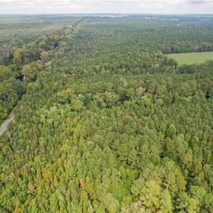 Photo #8 of 2.5 Ac Dismal Swamp Canal Trail, Chesapeake, Virginia 2.5 acres