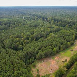 Photo #9 of 2.5 Ac Dismal Swamp Canal Trail, Chesapeake, Virginia 2.5 acres