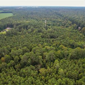 Photo #11 of 2.5 Ac Dismal Swamp Canal Trail, Chesapeake, Virginia 2.5 acres