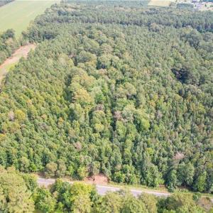 Photo #14 of 2.5 Ac Dismal Swamp Canal Trail, Chesapeake, Virginia 2.5 acres