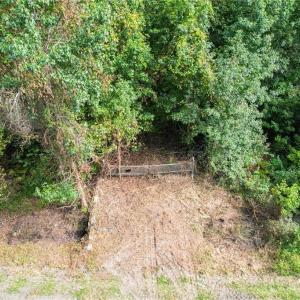 Photo #3 of 2.5 Ac Dismal Swamp Canal Trail, Chesapeake, Virginia 2.5 acres
