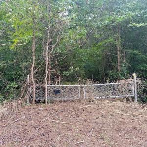 Photo #4 of 2.5 Ac Dismal Swamp Canal Trail, Chesapeake, Virginia 2.5 acres