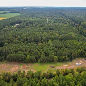 Photo #10 of 2.5 Ac Dismal Swamp Canal Trail, Chesapeake, Virginia 2.5 acres