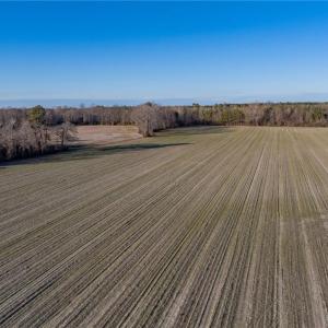 Photo #2 of 52+ AC Holland Road, Suffolk, Virginia 52.6 acres