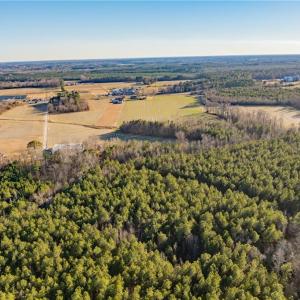 Photo #11 of 52+ AC Holland Road, Suffolk, Virginia 52.6 acres