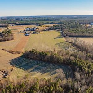 Photo #12 of 52+ AC Holland Road, Suffolk, Virginia 52.6 acres
