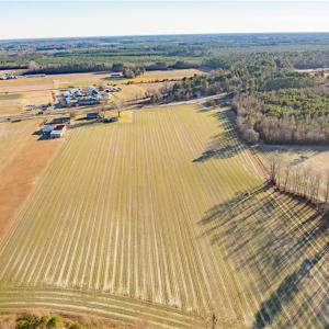 Photo #14 of 52+ AC Holland Road, Suffolk, Virginia 52.6 acres