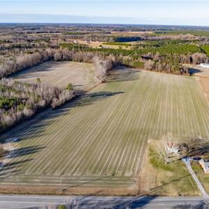 Photo #15 of 52+ AC Holland Road, Suffolk, Virginia 52.6 acres