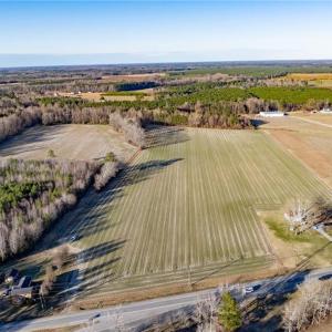 Photo #17 of 52+ AC Holland Road, Suffolk, Virginia 52.6 acres
