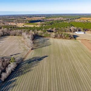 Photo #18 of 52+ AC Holland Road, Suffolk, Virginia 52.6 acres