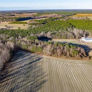 Photo #19 of 52+ AC Holland Road, Suffolk, Virginia 52.6 acres