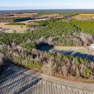 Photo #20 of 52+ AC Holland Road, Suffolk, Virginia 52.6 acres