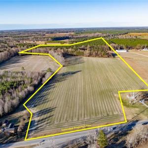 Photo #3 of 52+ AC Holland Road, Suffolk, Virginia 52.6 acres