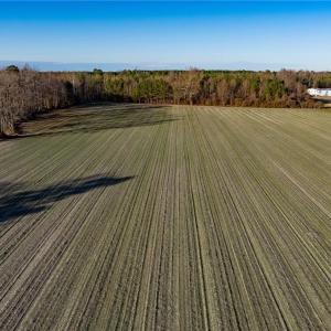 Photo #21 of 52+ AC Holland Road, Suffolk, Virginia 52.6 acres