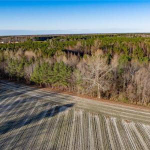 Photo #22 of 52+ AC Holland Road, Suffolk, Virginia 52.6 acres