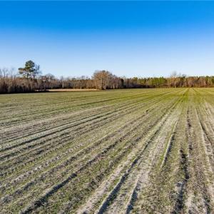 Photo #25 of 52+ AC Holland Road, Suffolk, Virginia 52.6 acres