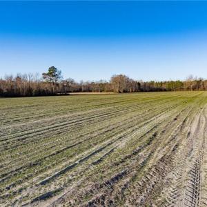Photo #26 of 52+ AC Holland Road, Suffolk, Virginia 52.6 acres