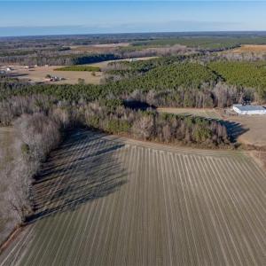 Photo #4 of 52+ AC Holland Road, Suffolk, Virginia 52.6 acres