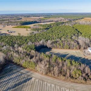 Photo #5 of 52+ AC Holland Road, Suffolk, Virginia 52.6 acres