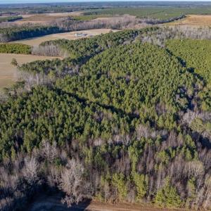 Photo #6 of 52+ AC Holland Road, Suffolk, Virginia 52.6 acres