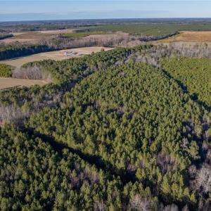 Photo #7 of 52+ AC Holland Road, Suffolk, Virginia 52.6 acres