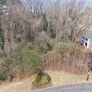 Photo #12 of .51+AC Waterfront Drive, Virginia Beach, Virginia 0.9 acres