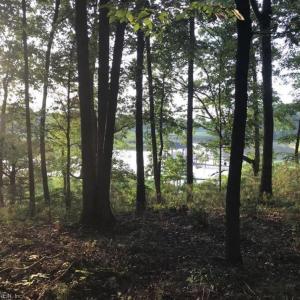 Photo #10 of 2561 Fort Huger Drive, Smithfield, Virginia 3.0 acres