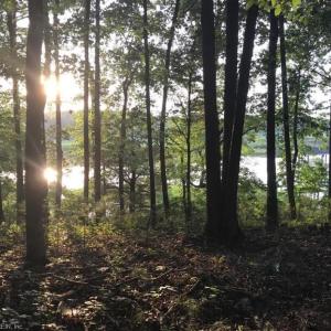 Photo #9 of 2561 Fort Huger Drive, Smithfield, Virginia 3.0 acres