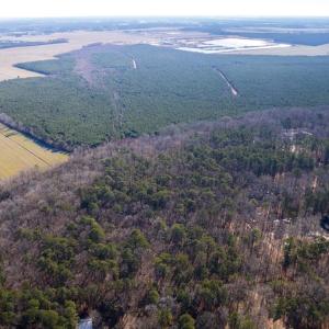 Photo #13 of 15.+AC Johnson Lane, Chesapeake, Virginia