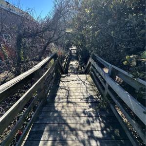 Photo #12 of 3330 Ocean View Avenue, Norfolk, Virginia 0.9 acres