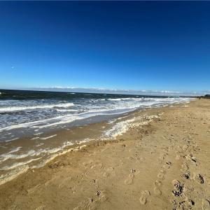 Photo #15 of 3330 Ocean View Avenue, Norfolk, Virginia 0.9 acres