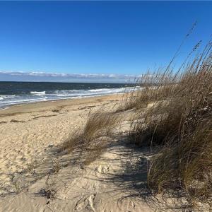 Photo #17 of 3330 Ocean View Avenue, Norfolk, Virginia 0.9 acres