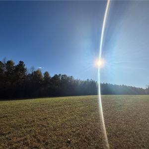 Photo #3 of 77.5ac Shippings Road, Mc Kenney, Virginia