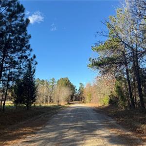 Photo #4 of 77.5ac Shippings Road, Mc Kenney, Virginia