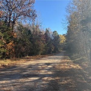 Photo #5 of 77.5ac Shippings Road, Mc Kenney, Virginia