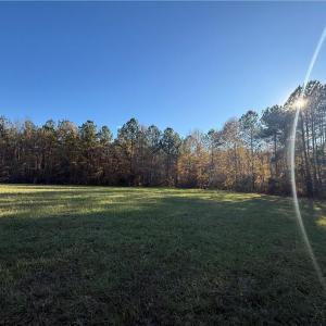 Photo #6 of 77.5ac Shippings Road, Mc Kenney, Virginia