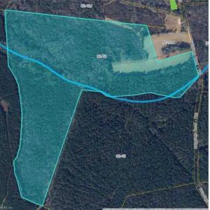 Photo #9 of 77.5ac Shippings Road, Mc Kenney, Virginia